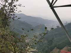 -午潮山国家森林公园
