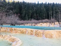 -黄龙山原始森林景区