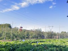 -意大利农场度假村