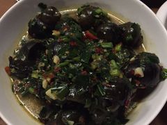 iphone_upload_pic-杯莫亭(集里店)
