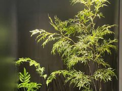 -宫燕府·京菜·烤鸭·淮扬菜(王府中心店)