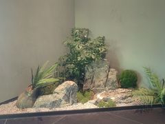 -茶人村·前滩江景雅宴(上海首店)