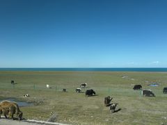 -青海湖国家重点风景名胜区