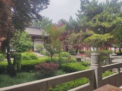 -大唐博相府酒店·陕西官府菜