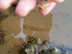 android_upload_pic-青岛银沙滩