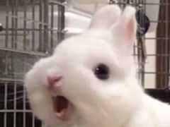 -必胜客(城西银泰店)