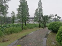 -飞来湖湿地公园