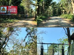 -海南热带野生动植物园
