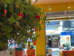 -金顺昌桂林桂花伴手礼(正阳一店)