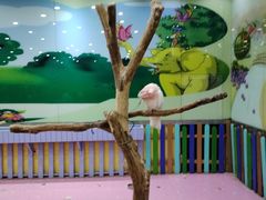 -齐齐哈尔龙沙动植物园