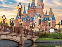 -上海中医药大学附属曙光医院(东部)