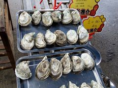 生蚝-蚝专家(北滘店)
