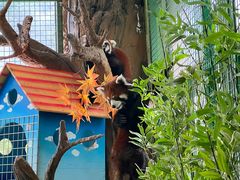 -海合安武汉极地海洋公园