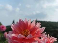 -苏州上方山国家森林公园