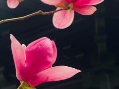 -荔湾湖公园
