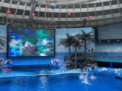 -海合安成都极地海洋公园