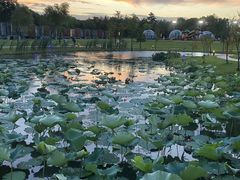 -上海怡沁园度假酒店