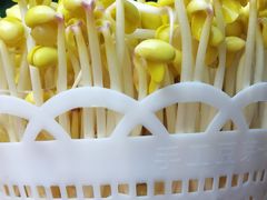 龙井泉水豆芽-巴倒烫陆派重庆火锅(南山店)