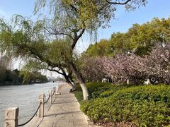 -范蠡湖公园