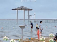 -碧海金沙