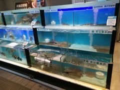 水产区-盒马鲜生(杭州运河上街店)