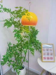 -变美丽半永久纹眉连锁·机器野生眉·洗眉