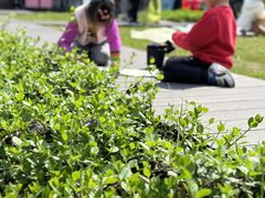 -大宁国际幼儿园(永和东路)