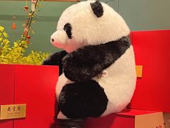 -南堂馆·新川菜(春熙路店)