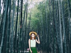 -西湖风景区十里琅珰-五云山