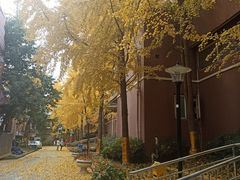 -和幸(春熙路群光广场店)