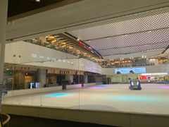 -TheRink大零溜冰场(IFS国金中心店)