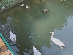 -长白岛森林公园