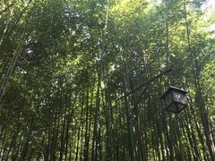 -竹泉村旅游度假区