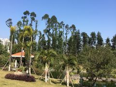 -厦门悦华酒店
