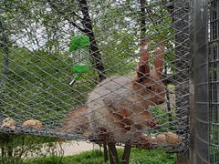 -哈尔滨北方森林动物园