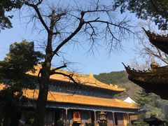 -普陀山风景名胜区-法雨禅寺