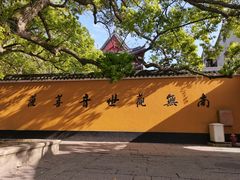 -冠素堂观音饼(朱家尖码头店)