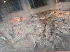 -无锡动物园·太湖欢乐园