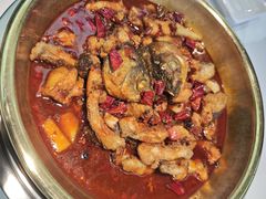 -涿派·炝锅鱼(涿州店)