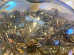 -半岛听涛蒸汽海鲜自助(K11店)