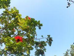 -白沙门生态公园