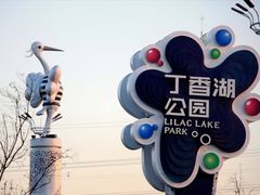 -丁香湖公园