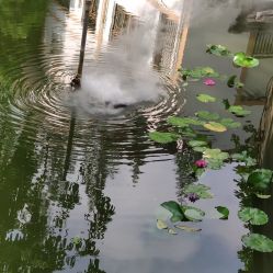 -莲生母婴月子中心(清水河公园店)