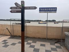 -大湾区中央湿地公园-十九涌