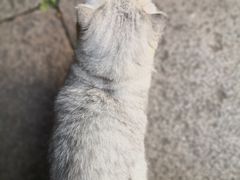-老屋咖啡