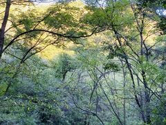 -云峰山自然风景区