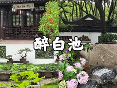 -上海醉白池公园