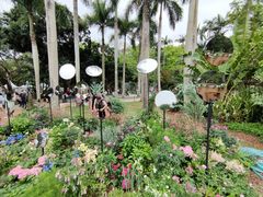 -深圳仙湖植物园