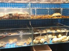 水产区-健眺小海鲜(临海后山店)