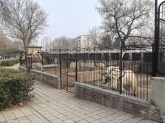 -保定市动物园